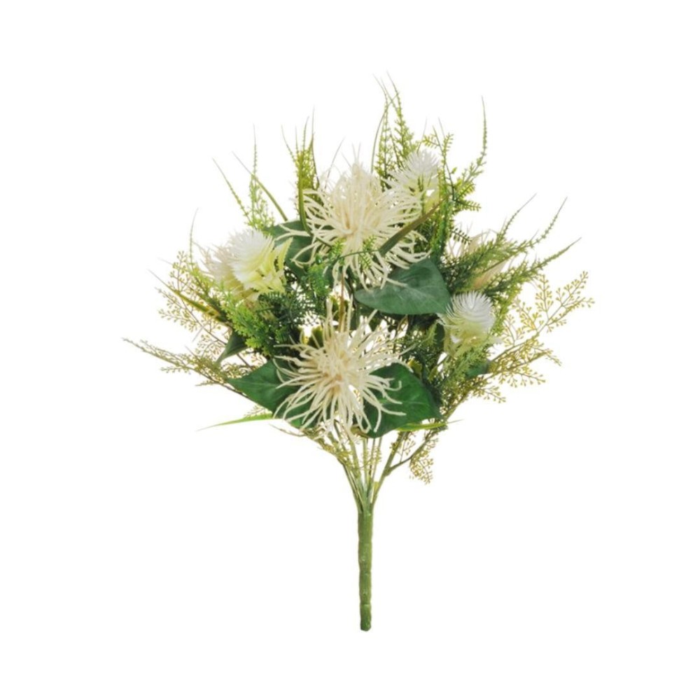 BUSH X7 CORDIFOLIUM FLOCCATO C